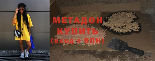 стаф Алзамай