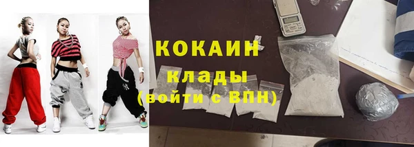 стаф Алзамай