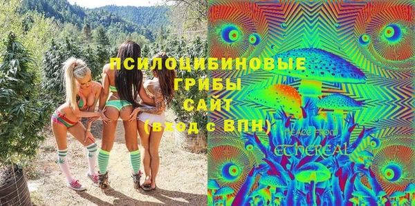 стаф Алзамай