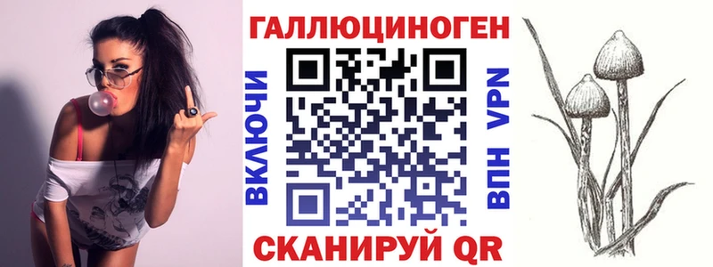 Галлюциногенные грибы Psilocybine cubensis  Билибино 